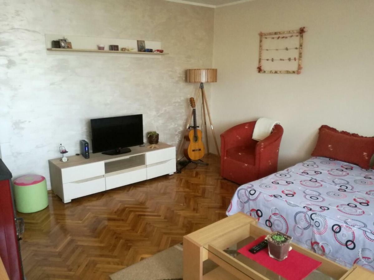 Apartman Lena Arandjelovac Εξωτερικό φωτογραφία